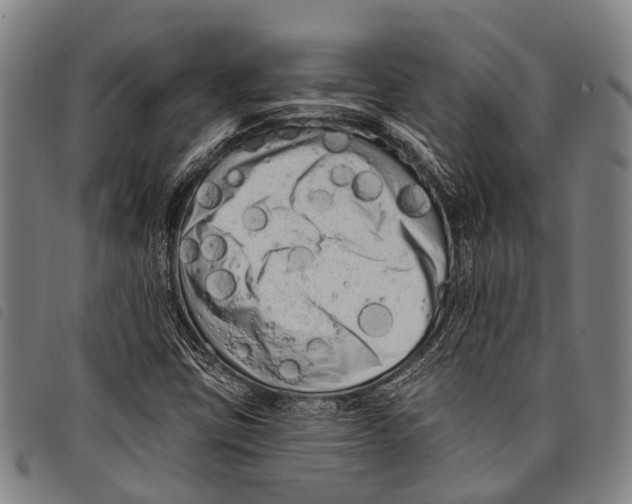 X0000097851403200804041456