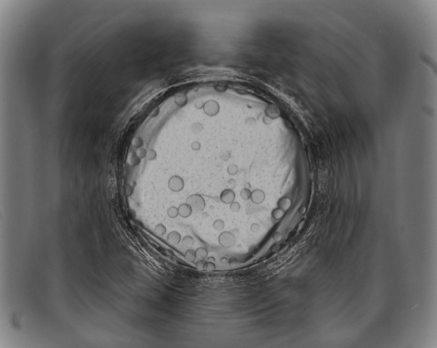 X0000097851407200804041456