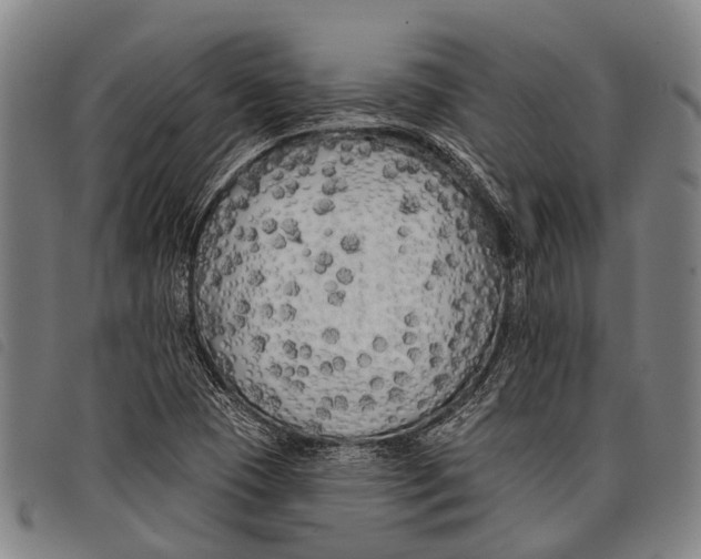 X0000097851409200804041456