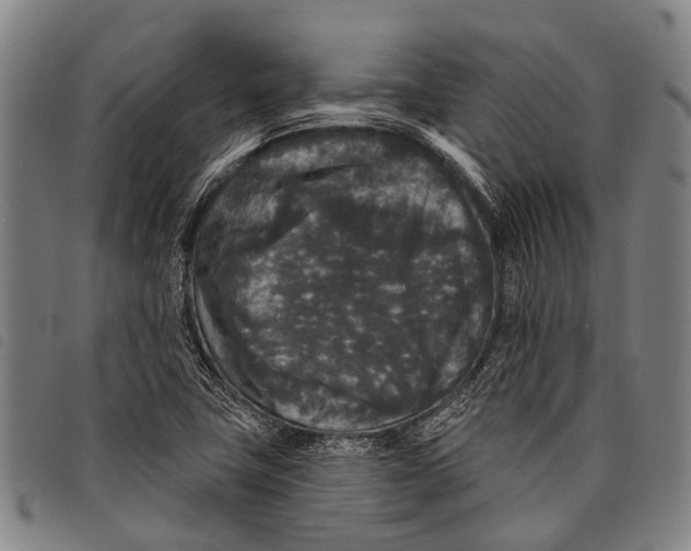 X0000097851411200804041456