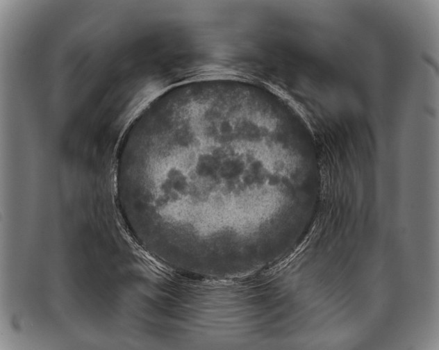 X0000097851415200804041456