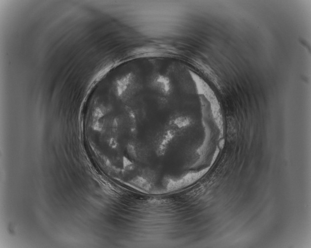 X0000097851419200804041456