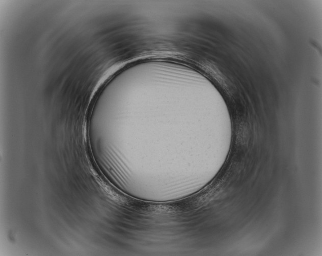 X0000097851420200804041456