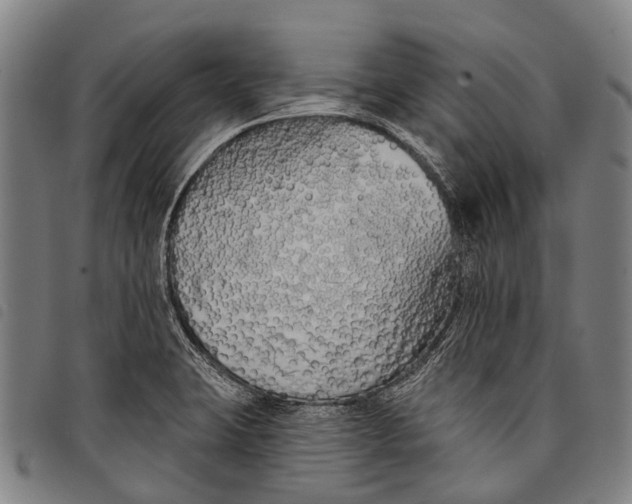 X0000097851423200804041456