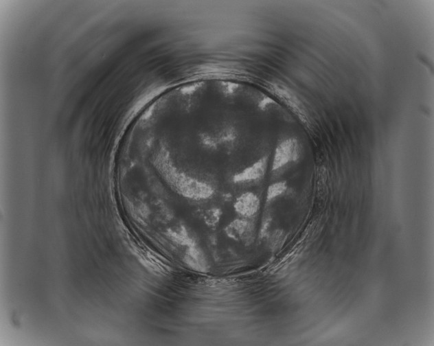 X0000097851427200804041456