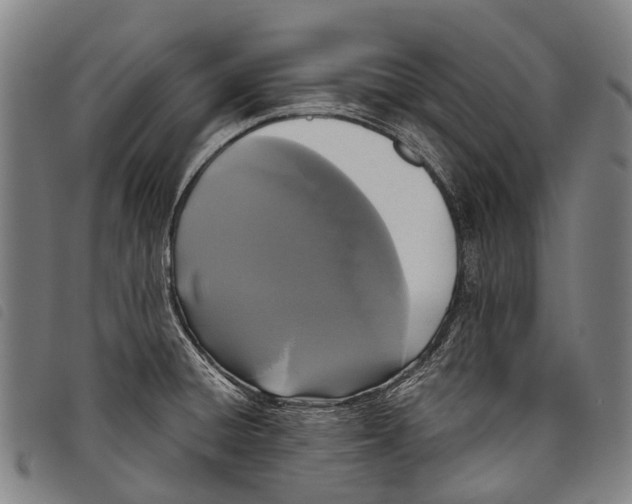 X0000097851428200804041456