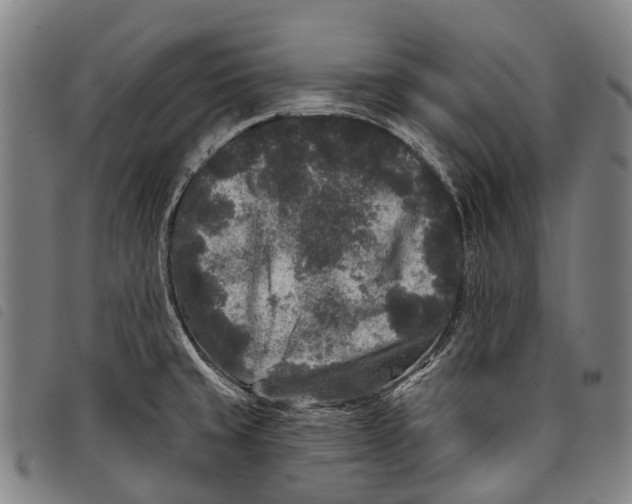 X0000097851429200804041456