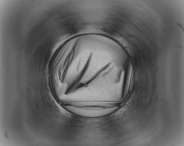 X0000097851430200804041456