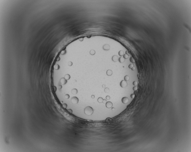 X0000097851431200804041456