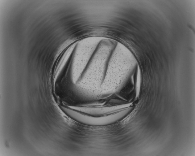 X0000097851434200804041456