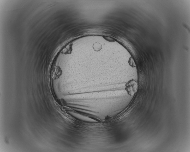 X0000097851435200804041456