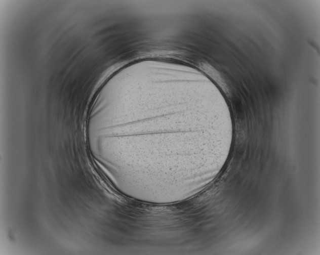 X0000097851436200804041456