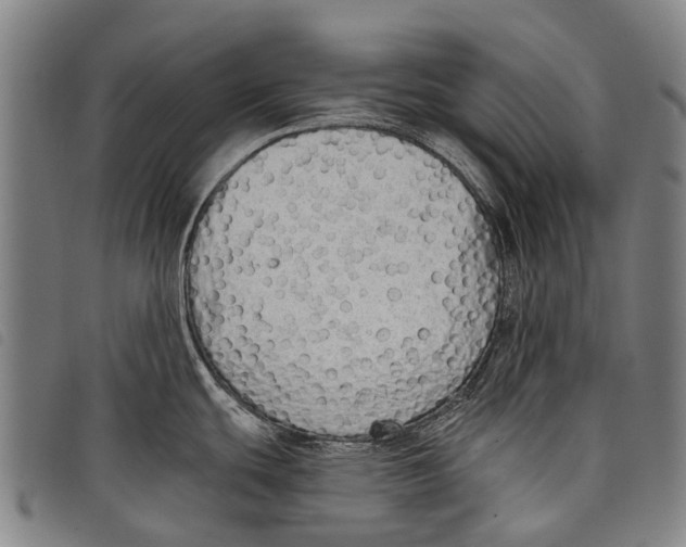 X0000097851439200804041456