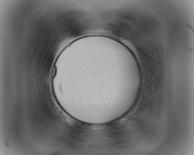 X0000097851440200804041456