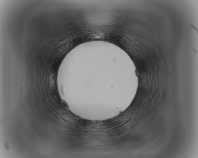 X0000097851442200804041455