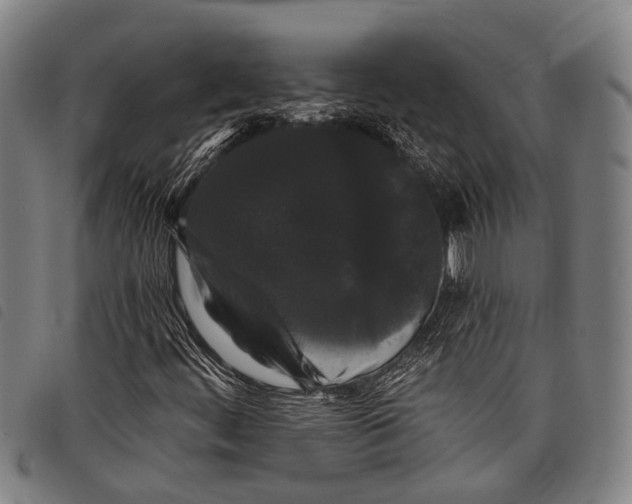 X0000097851444200804041455