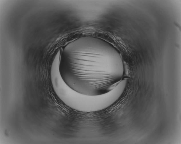 X0000097851445200804041455