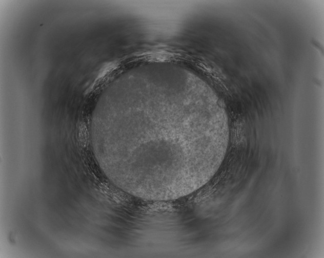 X0000097851446200804041455