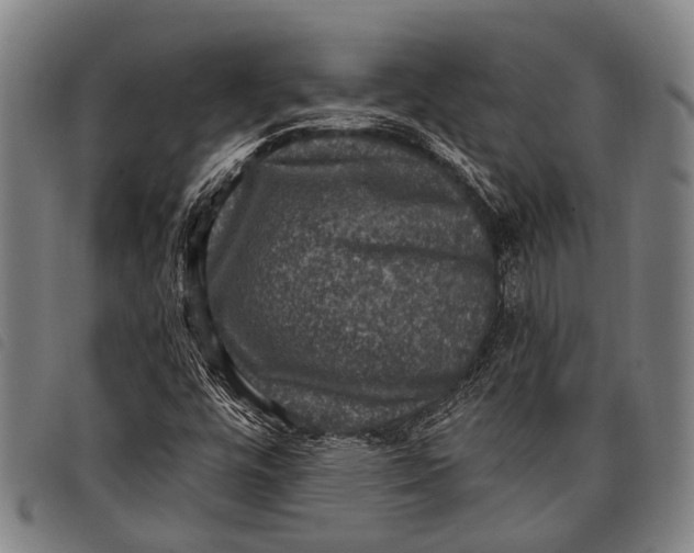 X0000097851448200804041455