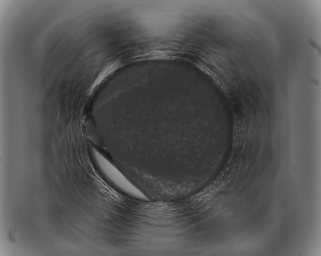 X0000097851450200804041455