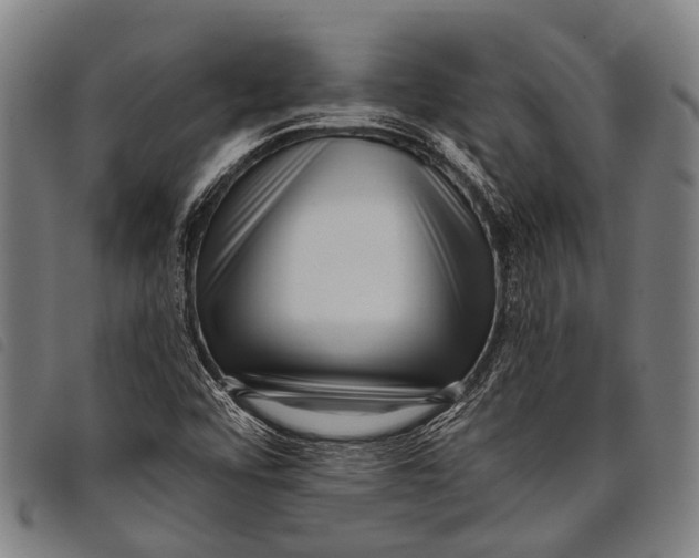 X0000097851456200804041455