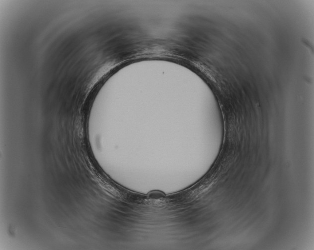 X0000097851458200804041455