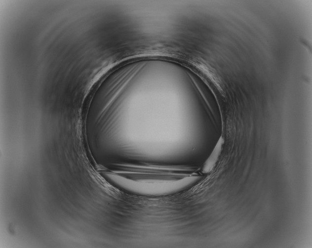 X0000097851460200804041455