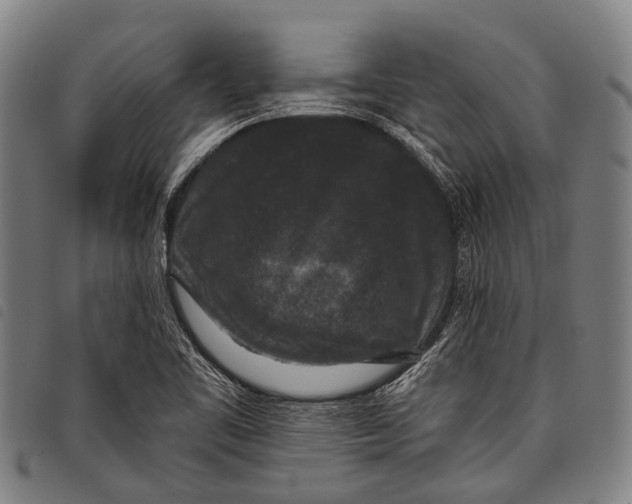 X0000097851461200804041455