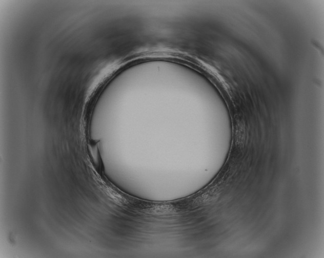 X0000097851464200804041455