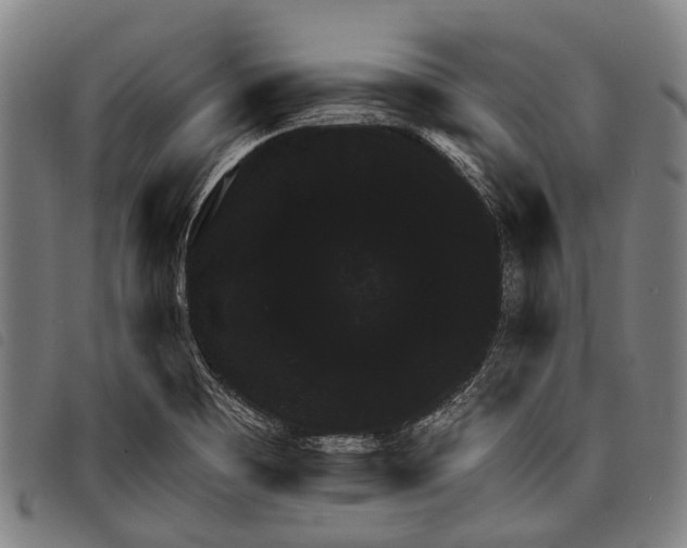 X0000097851465200804041455