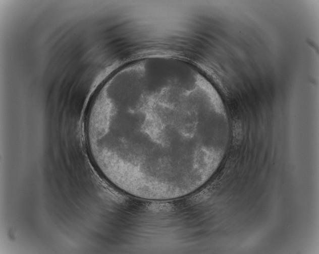 X0000097851466200804041455