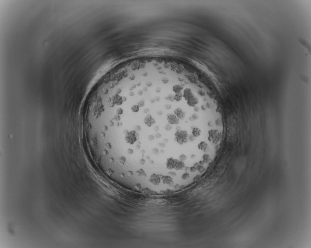 X0000097851467200804041455