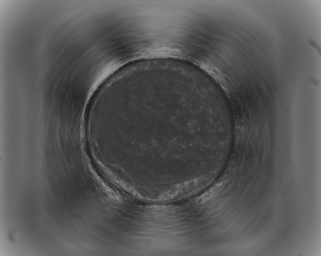 X0000097851469200804041455