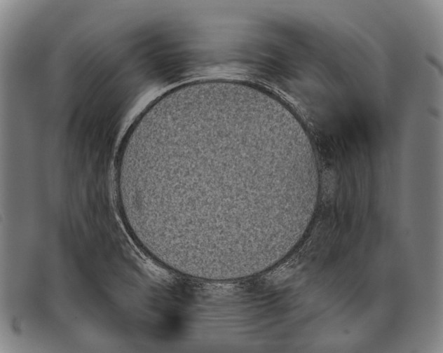 X0000097851470200804041455