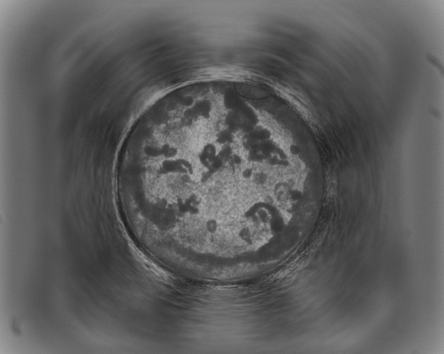 X0000097851471200804041455