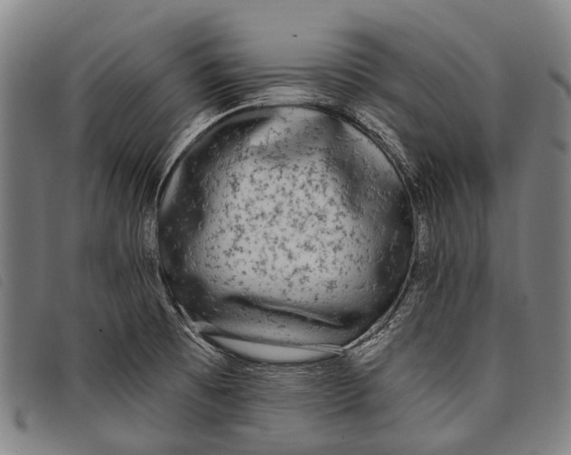 X0000097851473200804041455