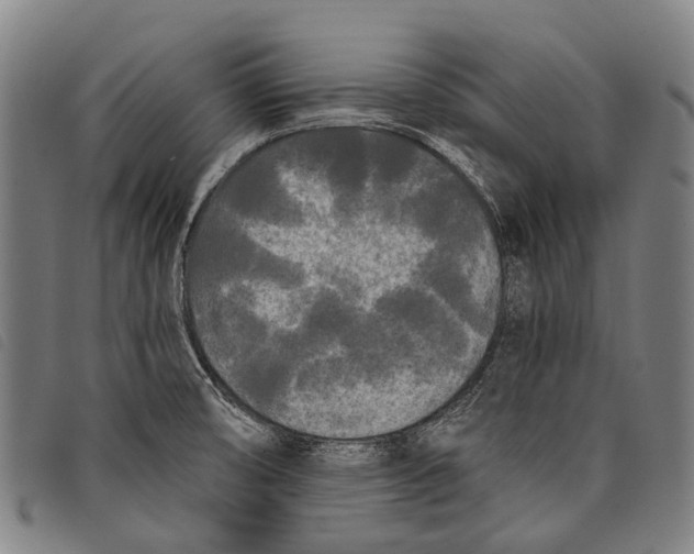 X0000097851474200804041455