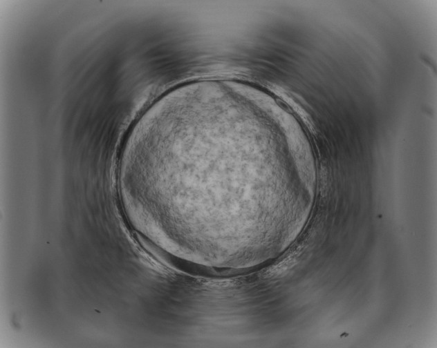 X0000097851477200804041455