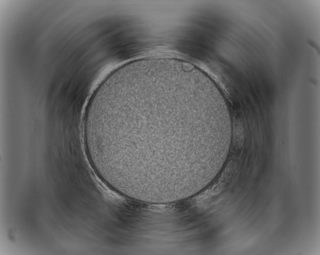 X0000097851478200804041455