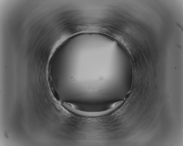 X0000097851480200804041455