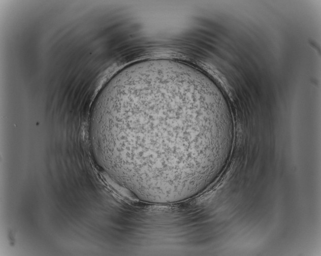 X0000097851481200804041455