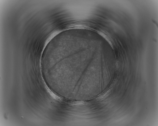 X0000097851482200804041455