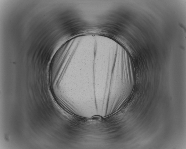 X0000097851483200804041455