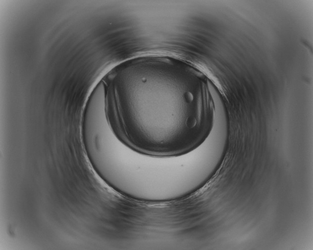 X0000097851484200804041455