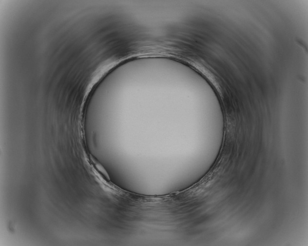 X0000097851485200804041455