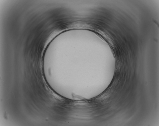 X0000097851486200804041455