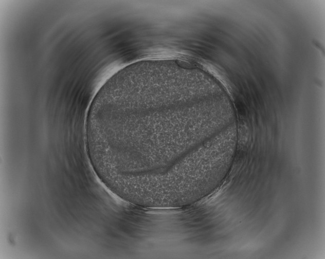 X0000097851487200804041455