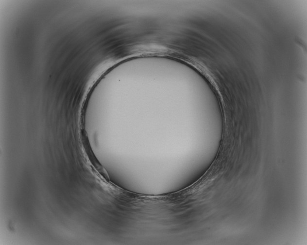 X0000097851488200804041455