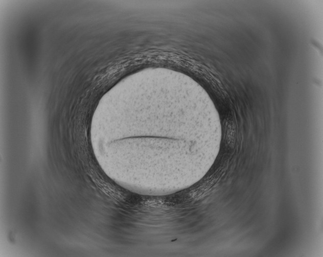 X0000097851489200804041454