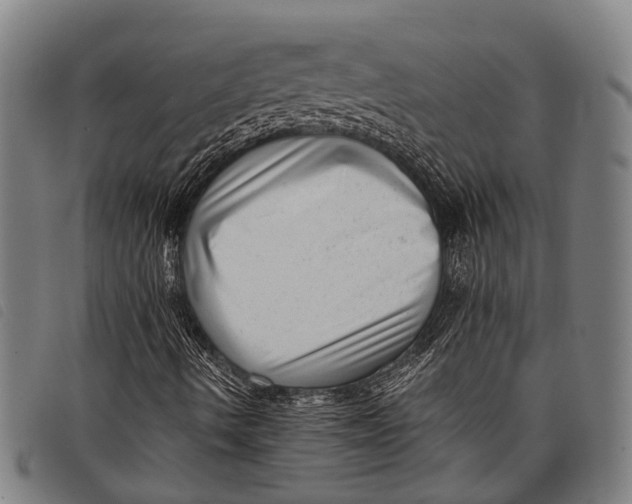 X0000097851490200804041454